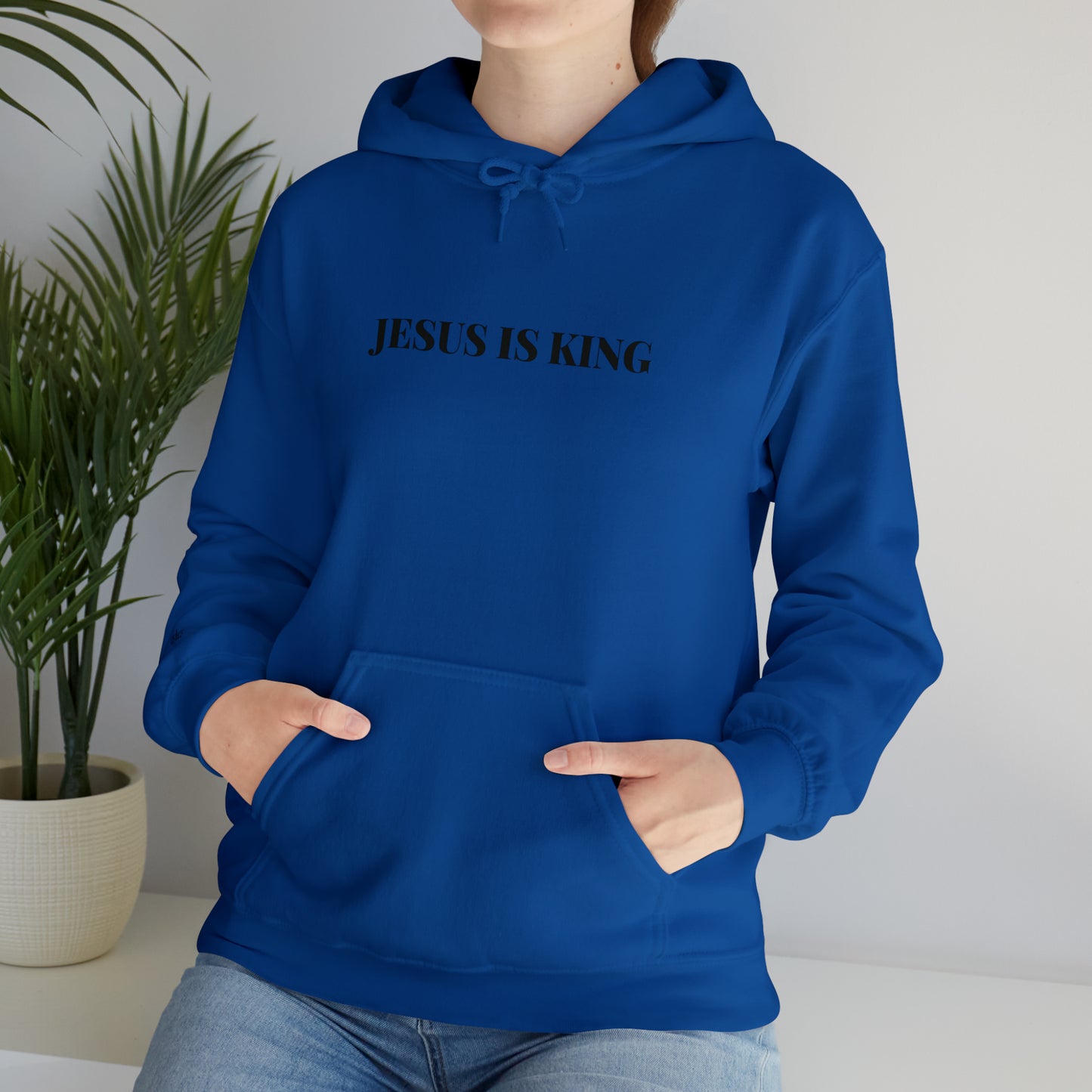 Adult Premium Hooded Sweatshirt "JESUS IS KING" RF Signature Series