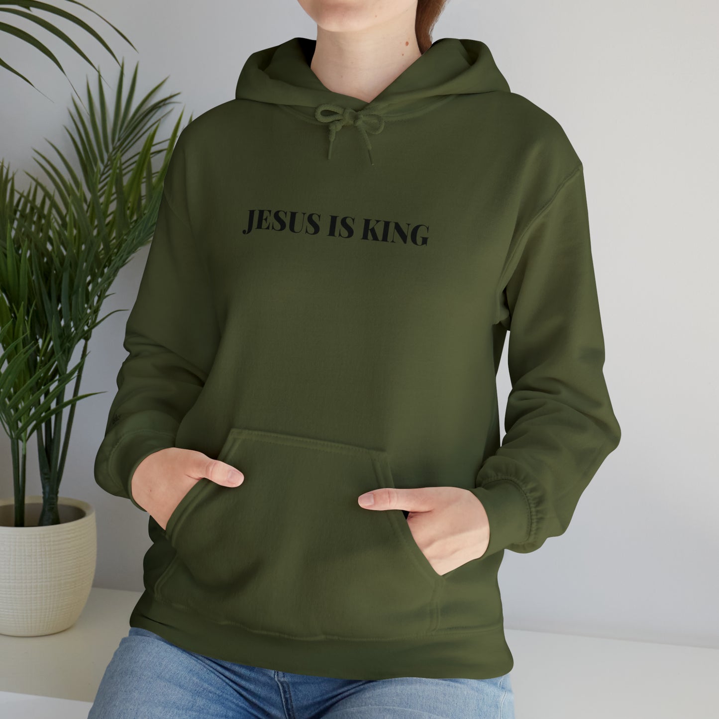 Adult Premium Hooded Sweatshirt "JESUS IS KING" RF Signature Series