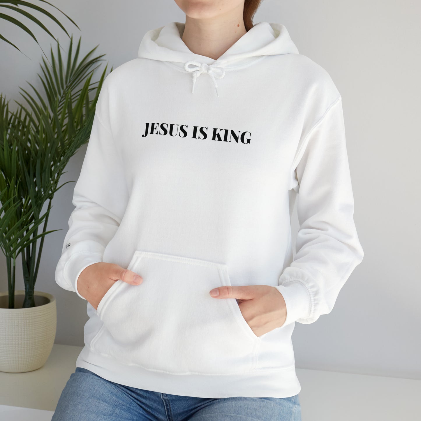 Adult Premium Hooded Sweatshirt "JESUS IS KING" RF Signature Series