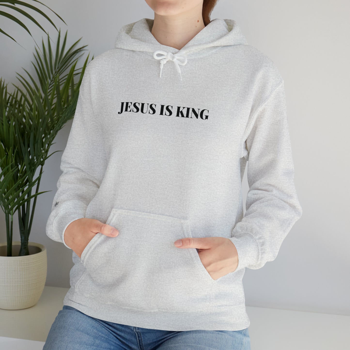 Adult Premium Hooded Sweatshirt "JESUS IS KING" RF Signature Series