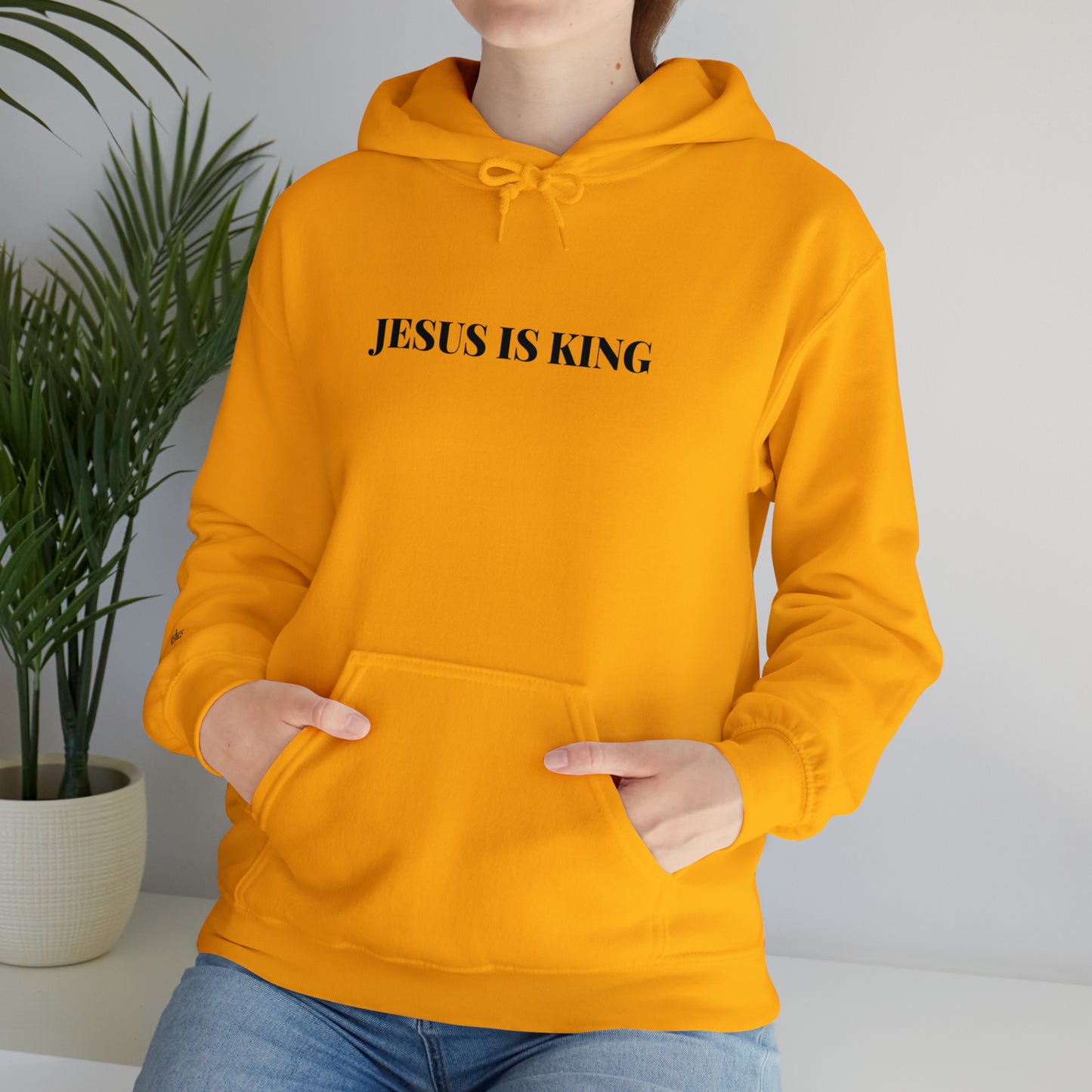 Adult Premium Hooded Sweatshirt "JESUS IS KING" RF Signature Series