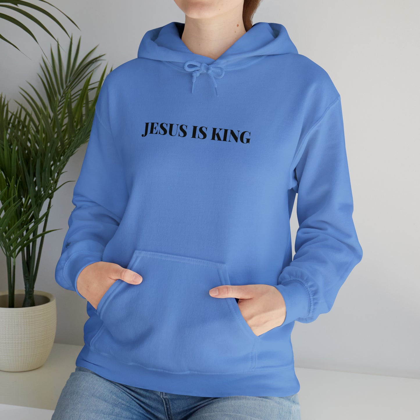 Adult Premium Hooded Sweatshirt "JESUS IS KING" RF Signature Series