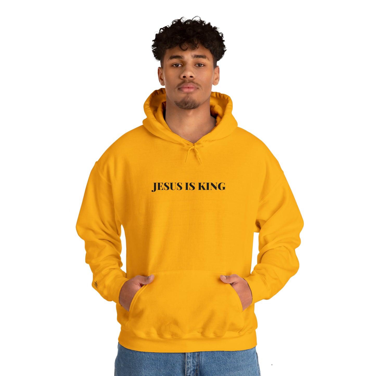 Adult Premium Hooded Sweatshirt "JESUS IS KING" RF Signature Series