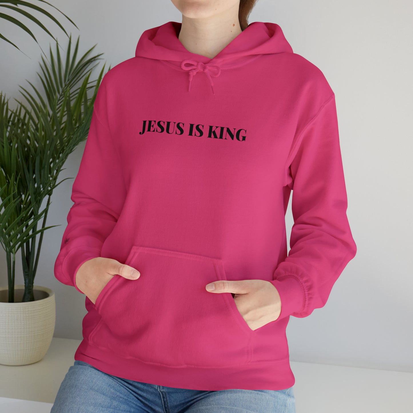 Adult Premium Hooded Sweatshirt "JESUS IS KING" RF Signature Series