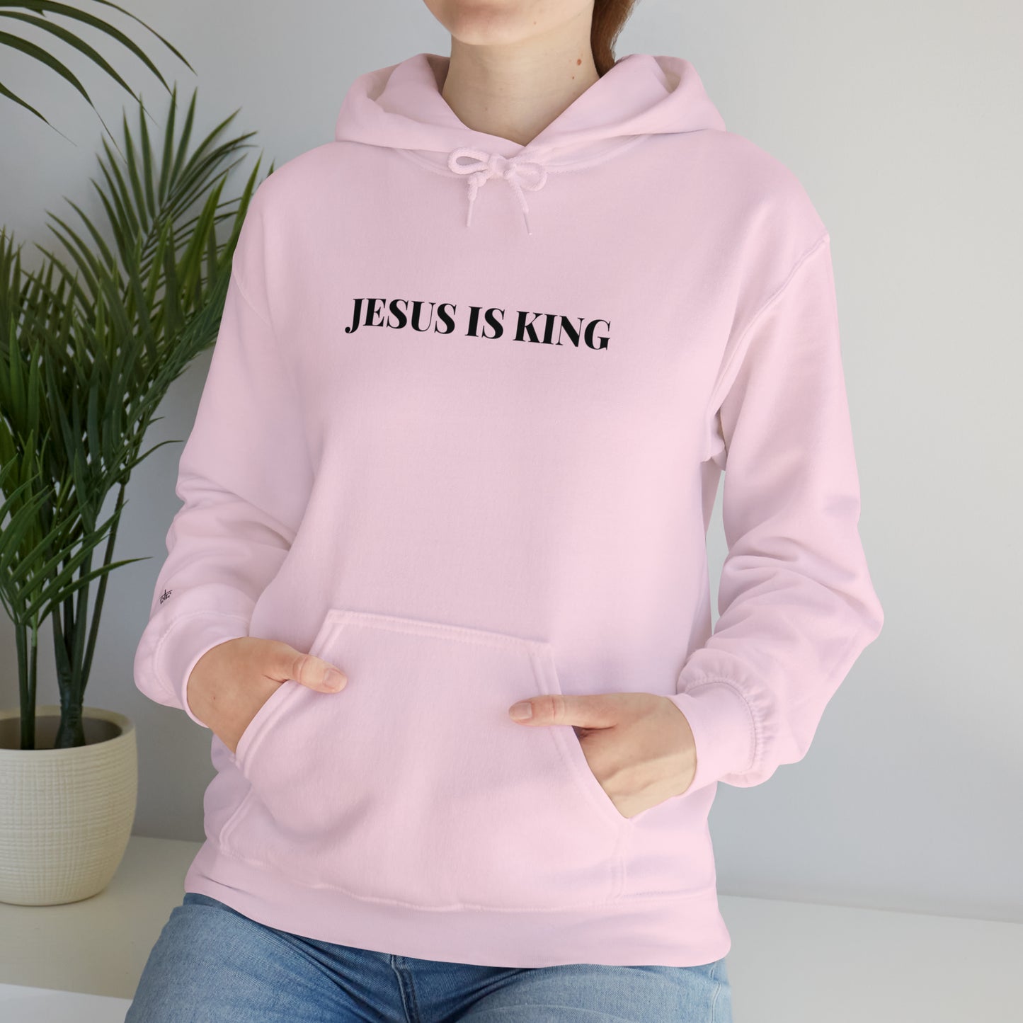 Adult Premium Hooded Sweatshirt "JESUS IS KING" RF Signature Series