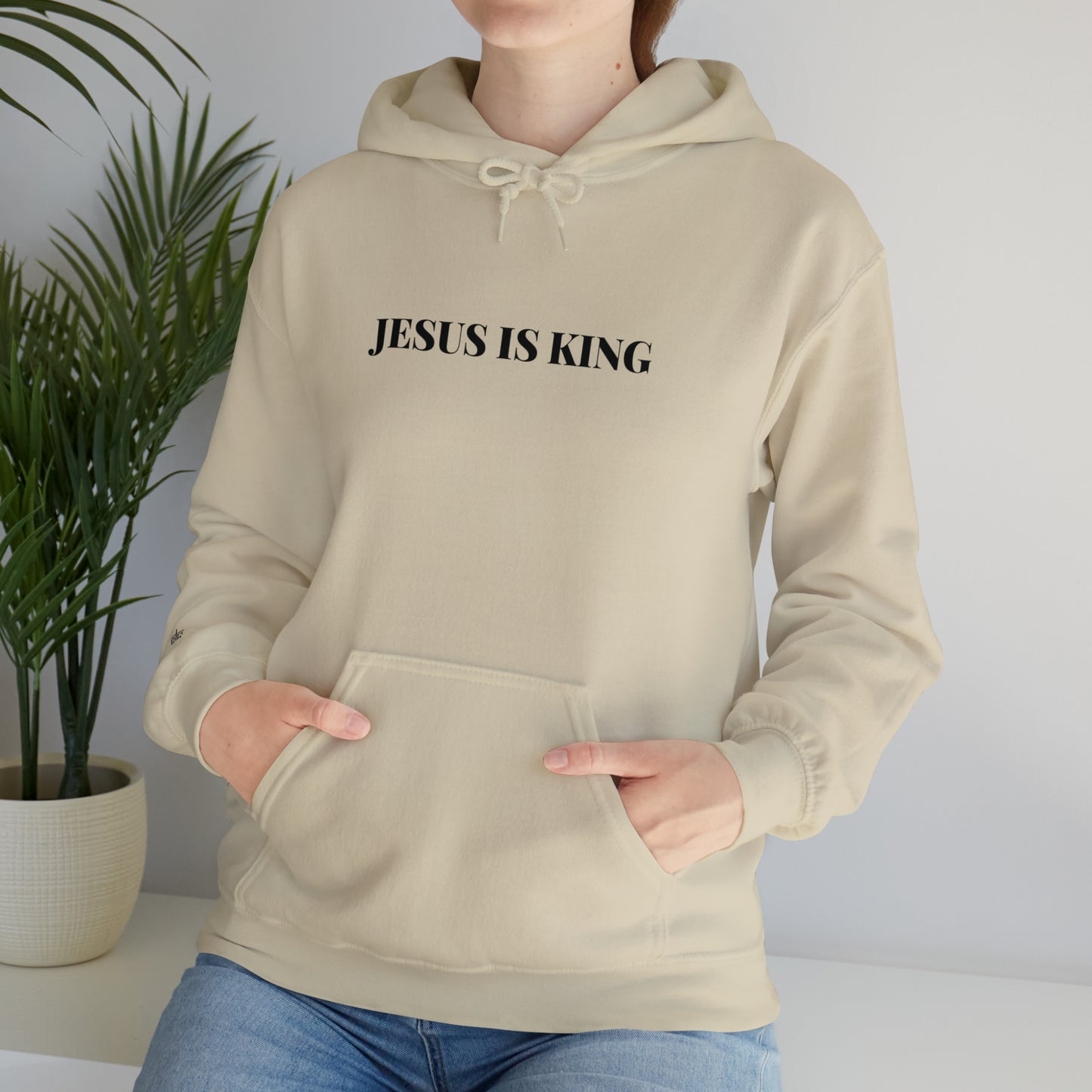 Men's Hooded Graphic Sweatshirt