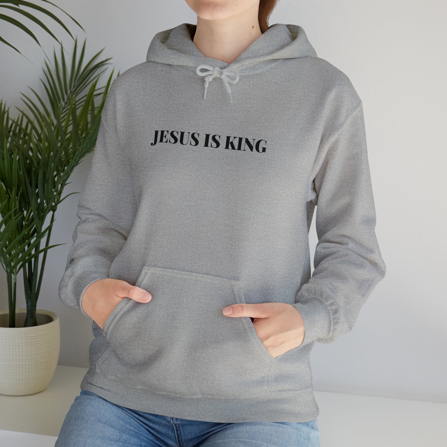 Adult Premium Hooded Sweatshirt "JESUS IS KING" RF Signature Series